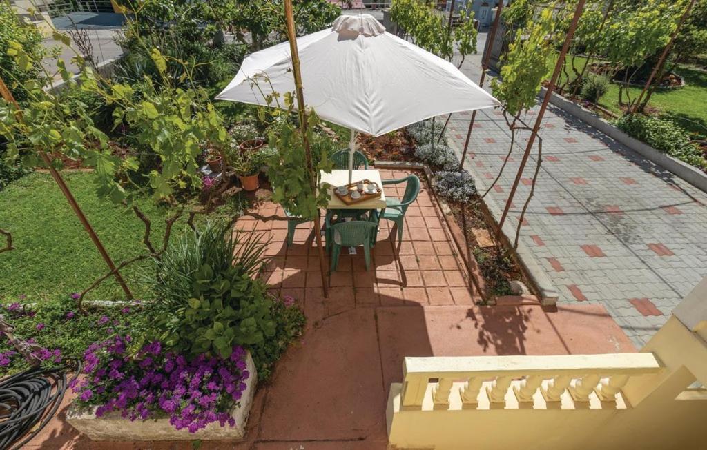 זאדאר Villa Kata Apartments מראה חיצוני תמונה